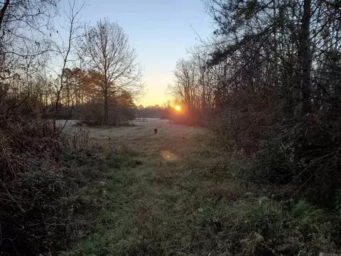 23611 Riley Rd, Pride, LA 70770 photo 22