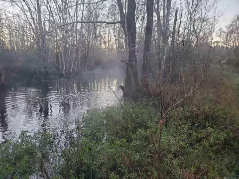23611 Riley Rd, Pride, LA 70770 photo 23