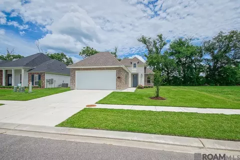 Other - 5166 Black River Rd, Darrow, LA 70725 photo 9 of 9