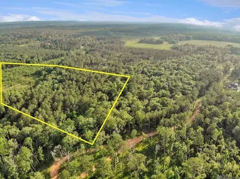 lot7 Livingston Farms Ln, Livingston, LA 70785