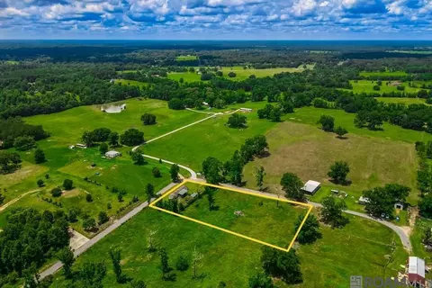 60102 Voight Rd, Amite, LA 70422 photo 30