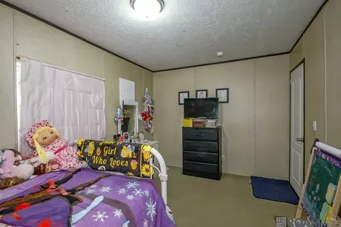 60102 Voight Rd, Amite, LA 70422 photo 18