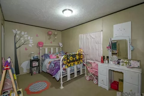 60102 Voight Rd, Amite, LA 70422 photo 17