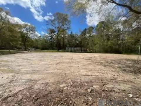 28870 Mcarthur Dr, Livingston, LA 70754