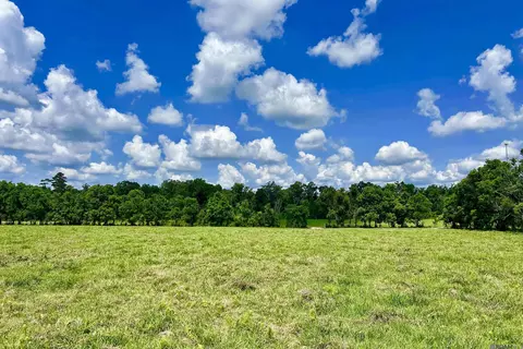 02 Carrier Rd, Pine Grove, LA 70453