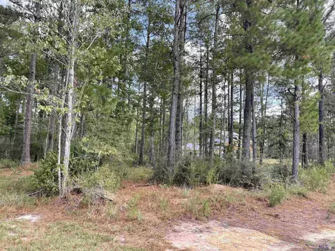 25907 Clyde Blount Rd, Livingston, LA 70785