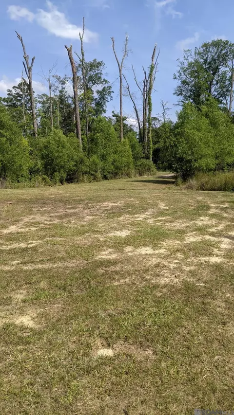 31187 Pace Ln, Walker, LA 70785