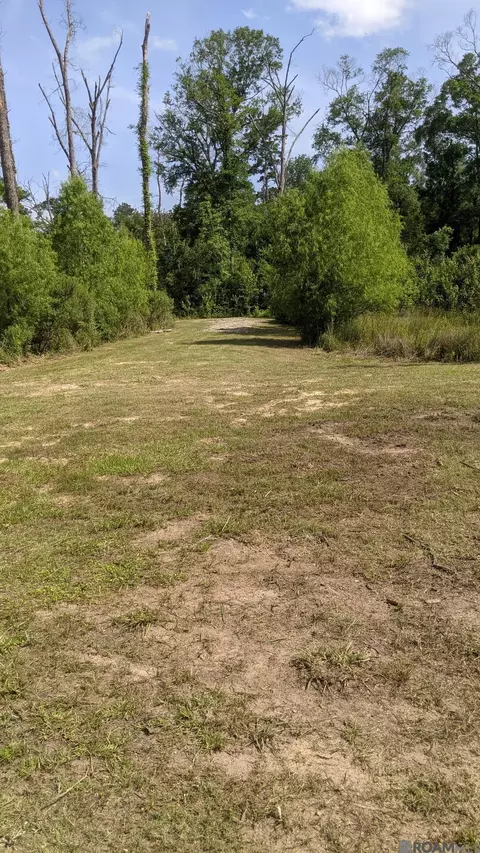 31187 Pace Ln, Walker, LA 70785 photo 3