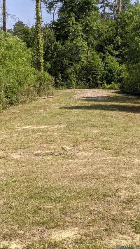 31187 Pace Ln, Walker, LA 70785 photo 2