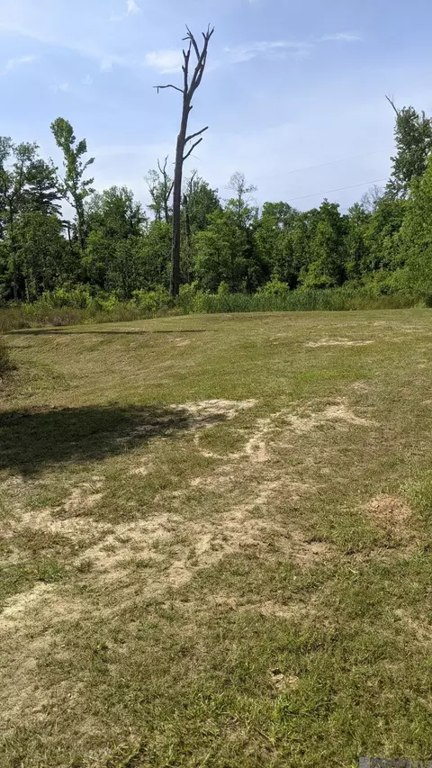 31187 Pace Ln, Walker, LA 70785 photo 5