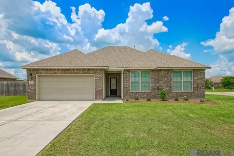 14079 Oakwilde Ave, Denham Springs, LA 70706