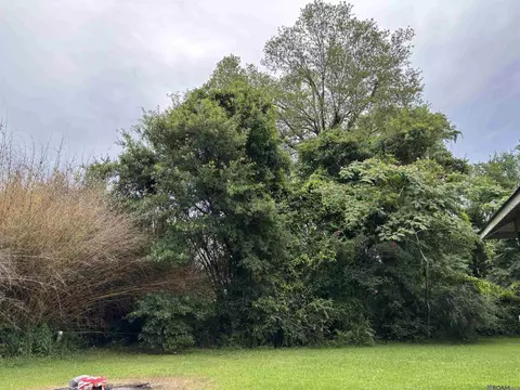 13587 Burgess Ave, Walker, LA 70785 photo 6