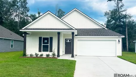 24819 Berry Ridge Ln, Springfield, LA 70462