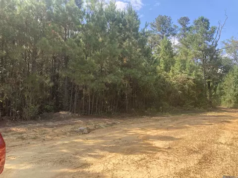 Tract A Old Jackson Ln, Jackson, LA 70748 photo 2
