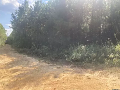 Tract A Old Jackson Ln, Jackson, LA 70748 photo 4