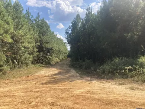 Tract A Old Jackson Ln, Jackson, LA 70748 photo 3