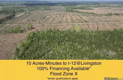 25584 La Hwy 63, Livingston, LA 70754