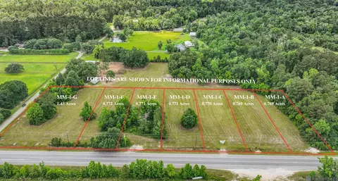Tract Mm-1-c Florida Blvd, Livingston, LA 70754