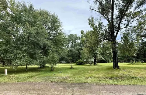 lot S B C Steve Hughes Rd, Walker, LA 70785