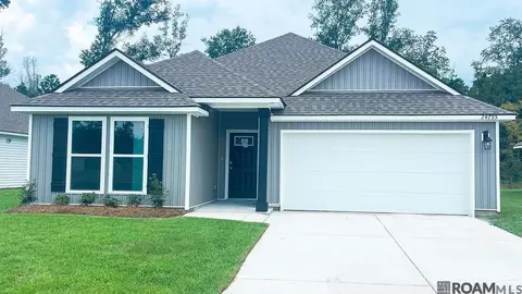 24795 Berry Ridge Ln, Springfield, LA 70462