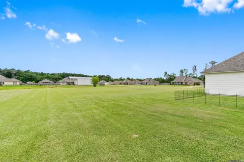 31921 Redrick Dr, Walker, LA 70785 photo 24