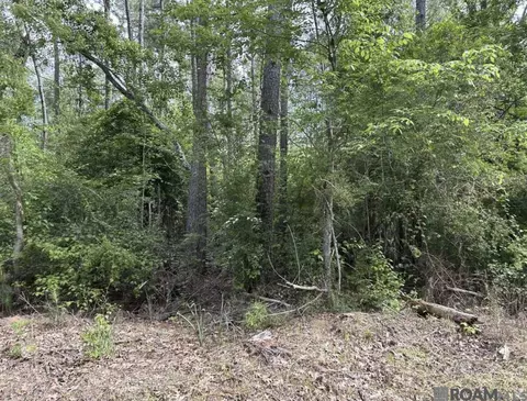 tbd Church Of God Rd, Springfield, LA 70462