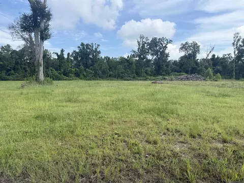 38354 N Robert Wilson Rd, Gonzales, LA 70737