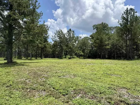 Tract C La Hwy 16, Denham Springs, LA 70706
