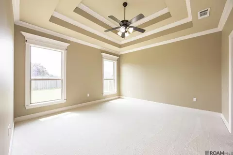 Other - 6713 Chanango Dr, Addis, LA 70710 photo 3 of 8