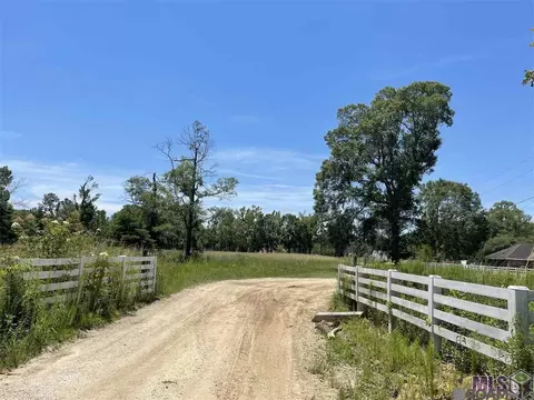 34235 Cane Market Rd, Walker, LA 70785