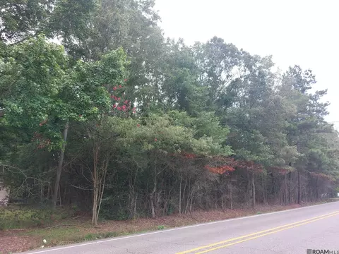 A-2 La Hwy 1019, Denham Springs, LA 70706