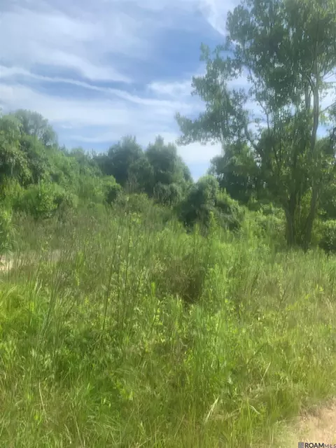 tbd Allen Brown Ln, Jackson, LA 70748