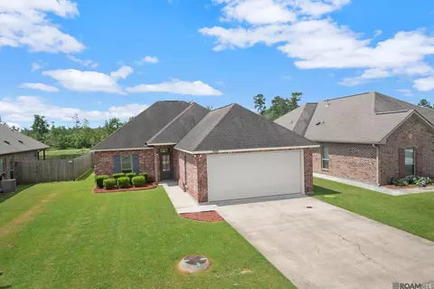 25320 White Lake Ave, Livingston, LA 70754