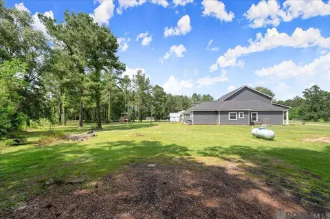 33159 Mangum Chapel Rd, Walker, LA 70785 photo 36