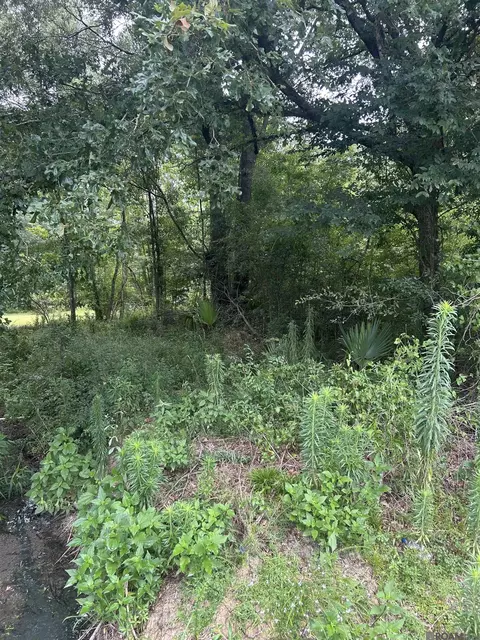 lot40 Henderson Ln, Walker, LA 70715