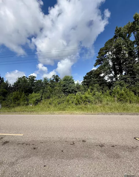 tbd Tract Ap-1 Reinninger Rd, Denham Springs, LA 70706