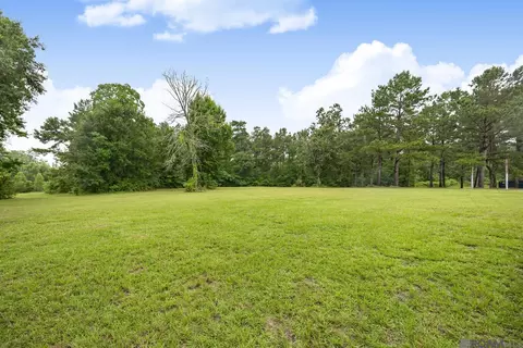 Exterior - 26810 Hwy 22, Springfield, LA 70462 photo 9 of 11