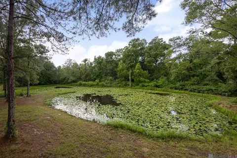 View/Area - 26810 Hwy 22, Springfield, LA 70462 photo 1 of 1