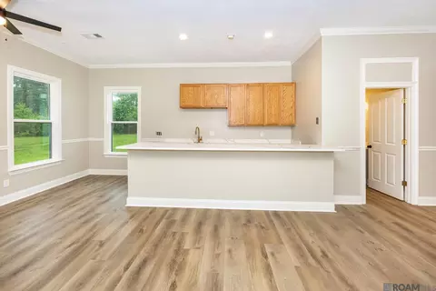 Other - 26810 Hwy 22, Springfield, LA 70462 photo 8 of 13