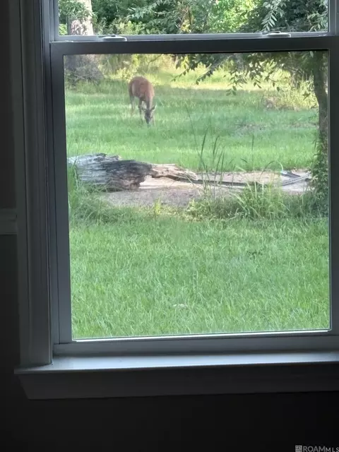 Other - 26810 Hwy 22, Springfield, LA 70462 photo 10 of 13