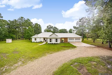 Exterior - 26810 Hwy 22, Springfield, LA 70462 photo 2 of 11