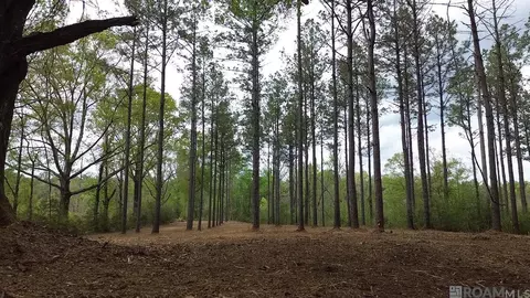 68434 Monroe Stevens Rd, Kentwood, LA 70444