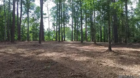 tbd La Hwy 1058, Roseland, LA 70456