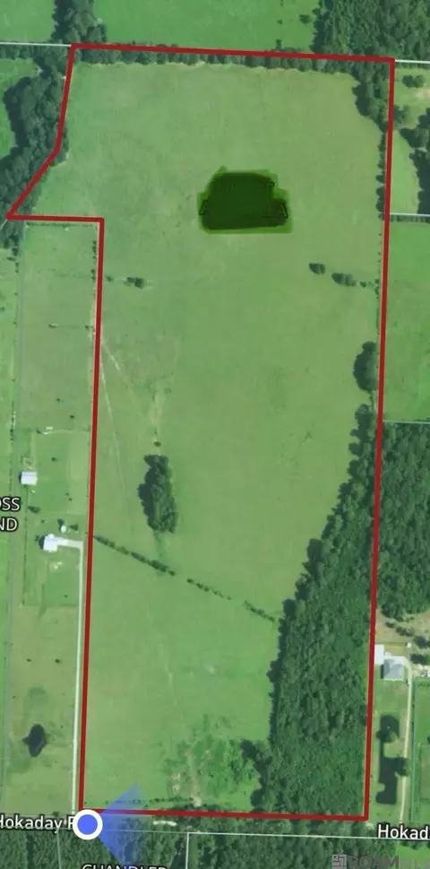 lot A-1 Hokaday Rd, Slaughter, LA 70777
