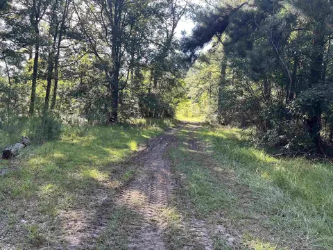 4210 La Hwy 63, Clinton, LA 70722