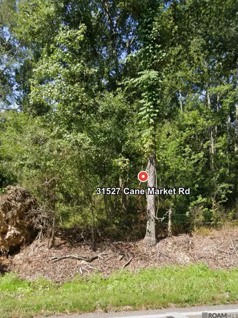 31527 Cane Market Rd, Walker, LA 70785