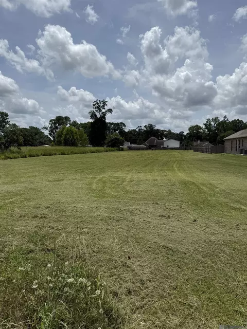 40303 Causey Rd, Prairieville, LA 70769