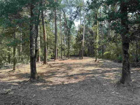 1 39 Acres Hood Rd, Denham Springs, LA 70726