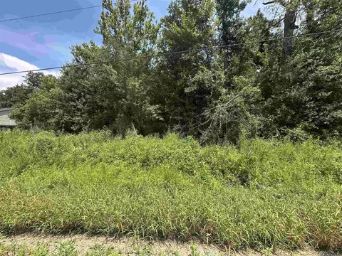 0 53 Acres Split Log Rd, Saint Amant, LA 70774