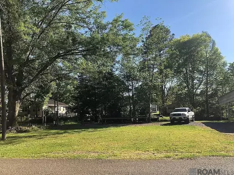 17758 Old Ferry Rd, Maurepas, LA 70449 photo 2